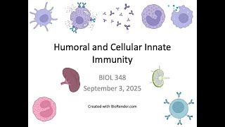 Immunology Fall 2025: Lecture 4 Humoral and Cellular Innate Immunity