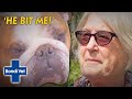 Rescued British Bulldog Attacks New Owner | Full Episode | Bondi Vet