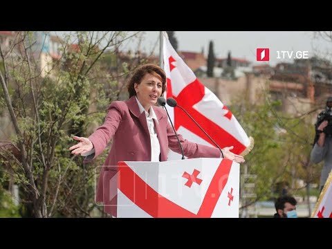 შარლ მიშელის შეთავაზება - ოპოზიციის პოზიცია