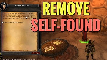 How To Disable Self-Found Buff In Wow Classic (Horde)