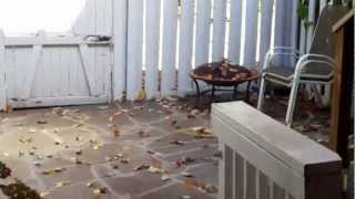 14672 Basingstoke Loop Centreville, VA  20120