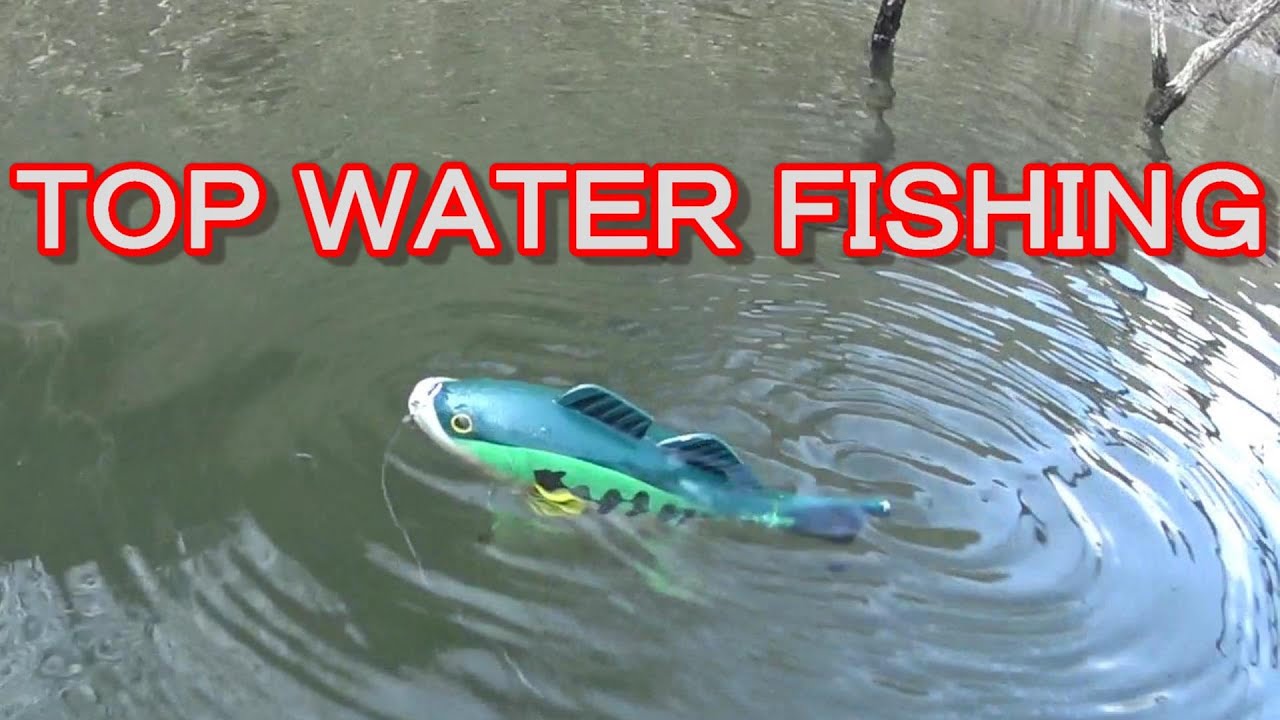 トップウォーターしか投げない釣りバカが、オモチャをルアーに改造してデカバスを釣る【バス釣り】