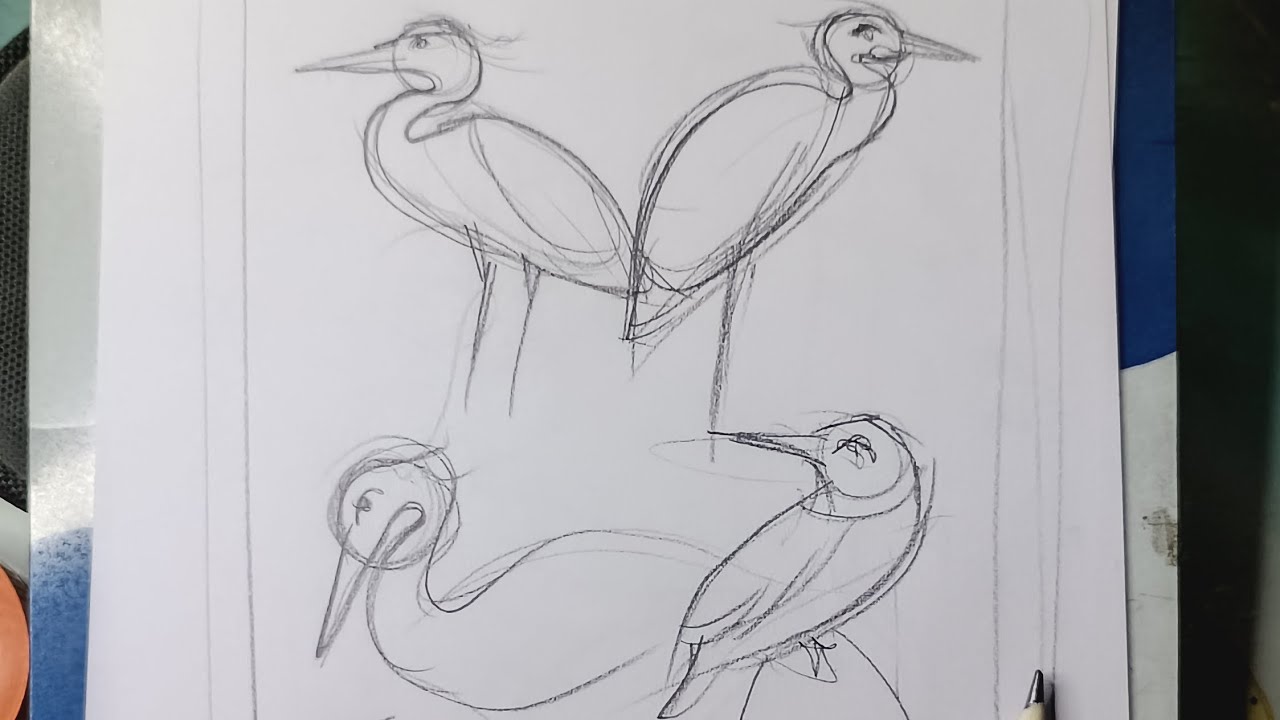 Flow of Lines | Rapid Bird Sketches ✏️🕊️