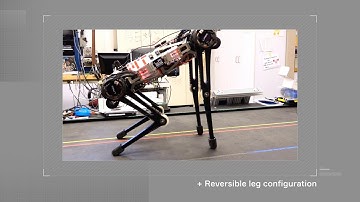 NAVER LABS - MIT Cheetah 3