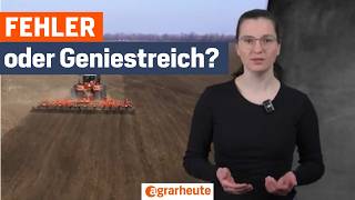 Nackter Boden vs. Zwischenfrucht: Warum du die Schwarzbrache (vielleicht) brauchst!