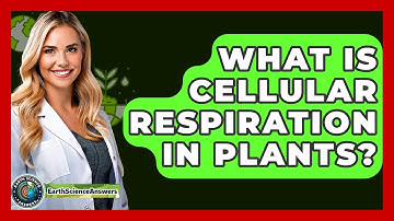 What Is Cellular Respiration In Plants? - Earth Science Answers