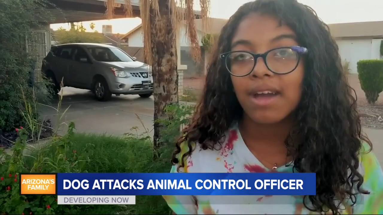 VIDEO Dog that attacked Animal Control officer had history YouTube