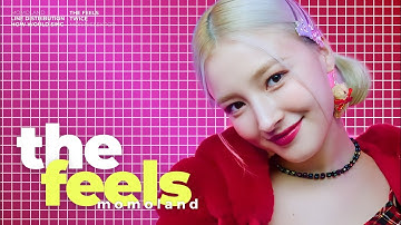 how would momoland sing 