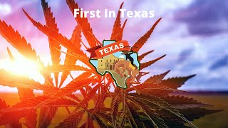 Texas Hemp Testing Labs