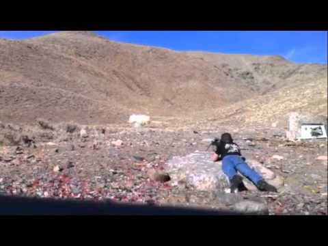 2lb exploding target