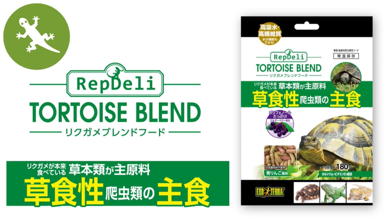 Are you feeding your tortoise food that suits its diet?] 