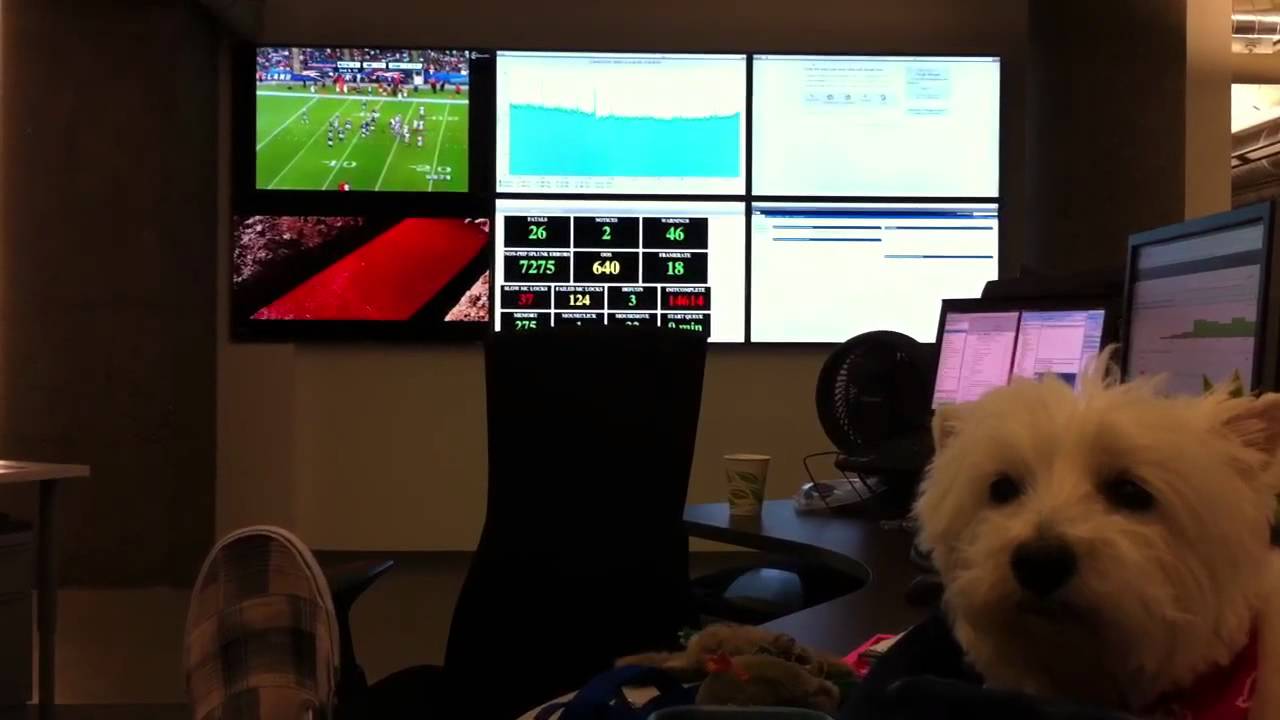 Atypical thursday afternoon at work