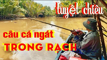Tuyệt Chiêu Câu cá Ngát Trong Rạch - Quăng Mồi Là Lụm - Chổ Nào Cũng Có - Có Tép Là Có Cá Mang Về