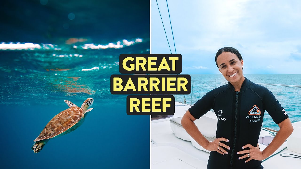 Great Barrier Reef Day Tour ( +Palm Cove!) | Tropical North Queensland Australia Ep. 1/3