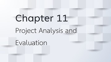 Project Analysis and Evaluation