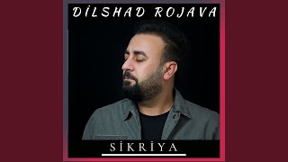Sikriya Resimi