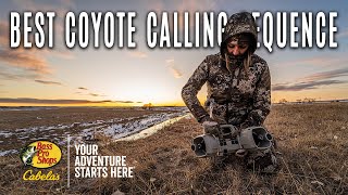 Anytime, Anywhere PredatorCalling Sequence