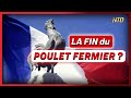 Fin de la filière «volailles fermières» française ? ; Une campagne de don d’organes en Chine