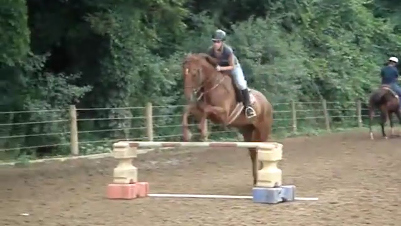 horseshoe bend Horse Jumping 3