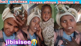 #halii qalainsaa jirenyaa ethiopa jirachuuf namaa sodachisaa malloo garamitii demmaa jiraa biyyii😭