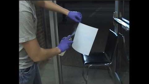 Ninhydrin Fingerprinting from Dr. Hsieh class