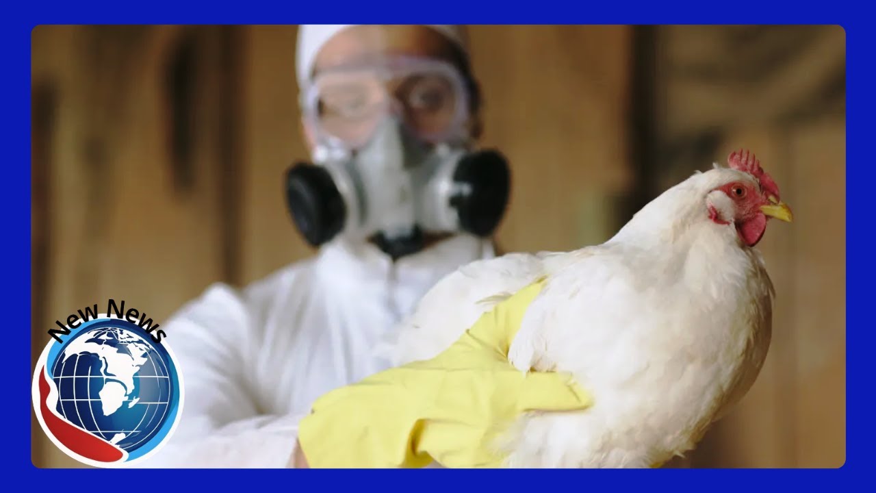 California Declares State of Emergency as Bird Flu Spreads to Dairy ...