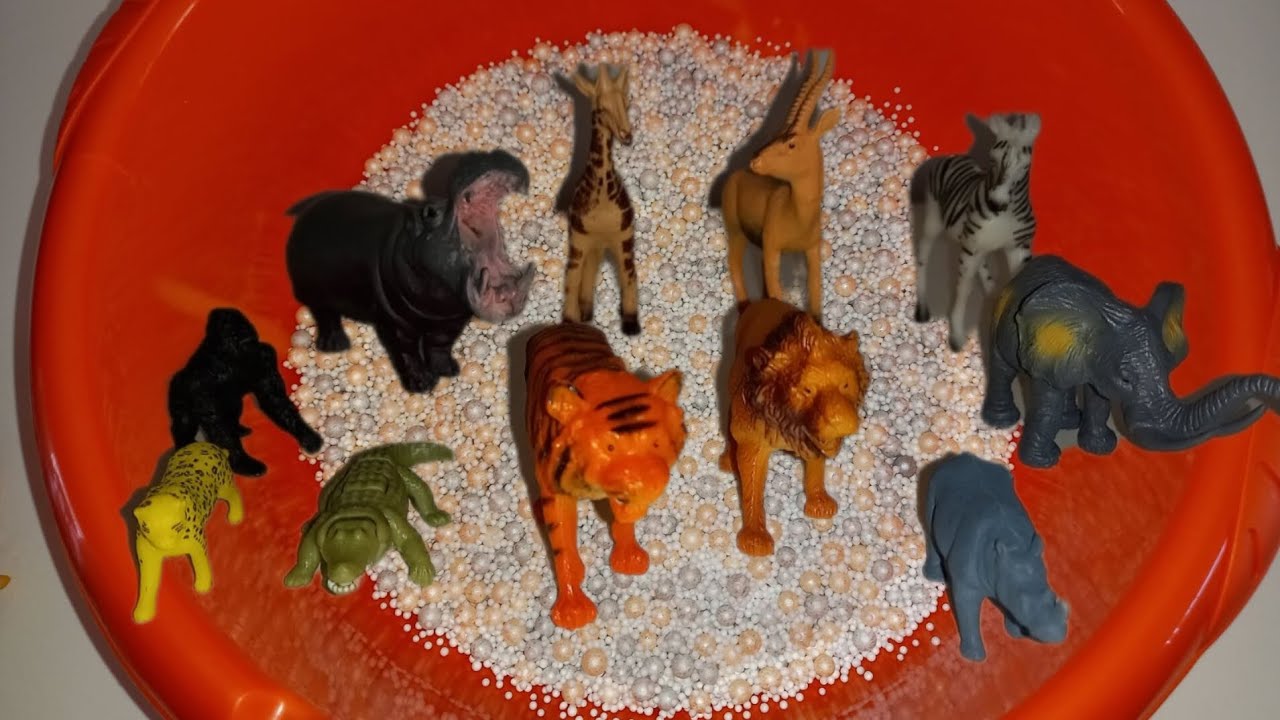 Μαθαίνουμε τα ζώα της ζούγκλας και τους ήχους τους/Learn the jungle animals and their voices.