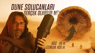 Could giant sandworms really exist? by Barış Özcan 255,565 views 4 days ago 12 minutes, 35 seconds