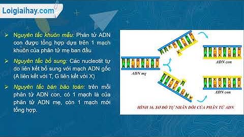 Giải bài tập sinh học 9 bai 4 trang 50 năm 2024