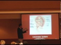 Ear Acupuncture Seminar by Li-Chun Huang and William Huang - Acupuncture Continuing Education Online