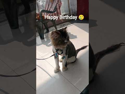 I forgot his home but I not forget his birthday date 📅🌹