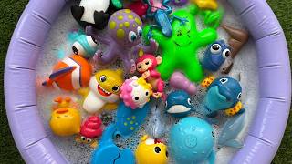 explore oean animal names facts sea animal toys kids educational