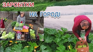 Готуємо Врожай на Ринок. Ціни і Що Заробили. Херсонці на Львівщині 🇺🇦