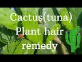 HOW TO WASH NATURAL HAIR WITH CACTUS (TUNA)PLANT🌵