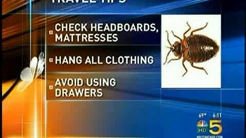 Preventing Bed Bugs While Traveling