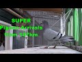 Super pigeon arrivals from 187km