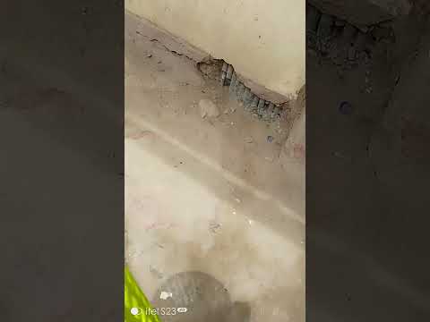 Just Finished Throwing The Trash MercyNguku The World Traveller Worshipsongrewritten