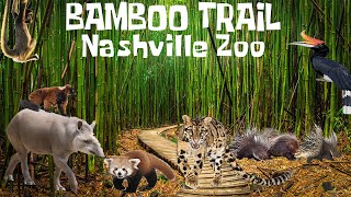 Uncaged Zoo Tours: Bamboo Trail at the Nashville Zoo ft. Spider Monkeys #subscribe