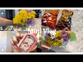 Mini Vlog (Day in my life, Get ready with me, Grocery Haul, Home decor)