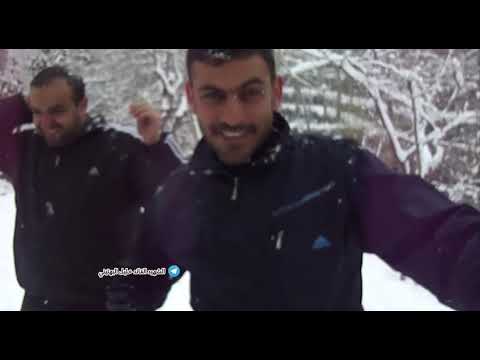 رفقا بنا