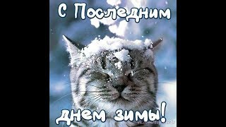 С последним днём зимы!  / З останнім днем ​​зими! / With the last day of winter!