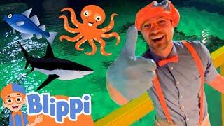 Blippi Explores a FUN Aquarium | Learning Sea Animals For Children | Educational Videos for Kids