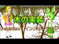 木の実装解説 - L-system・インスタンシング【ずんだもん】【春日部つむぎ】