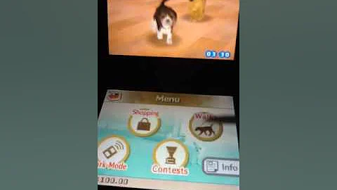 Some cheats on nintendogs