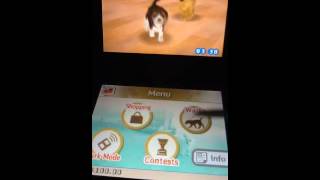 Some cheats on nintendogs