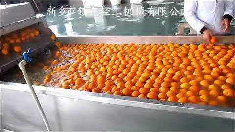 Details citrus juice processing line