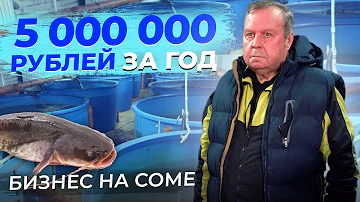 Сколько денег ЗАРАБАТЫВАЕТ ФЕРМЕР? Разведение сома на рыбоводной ФЕРМЕ УЗВ | Бизнес с нуля