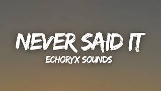Left Unsaid - The Words I Never Told You (Lyrics)