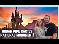 🌵 2 DAYS IN ORGAN PIPE CACTUS NATIONAL MONUMENT (TOTALLY WORTH A VISIT!)