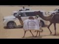قصيده مهداه الى سعيد بن عايض بن قشيم كلمات وأداء سعيد الخزماني قصيده مهداه الى سعيد بن عايض بن قشيم كلمات وأداء سعيد الخزماني